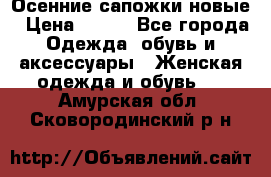 Осенние сапожки новые › Цена ­ 600 - Все города Одежда, обувь и аксессуары » Женская одежда и обувь   . Амурская обл.,Сковородинский р-н